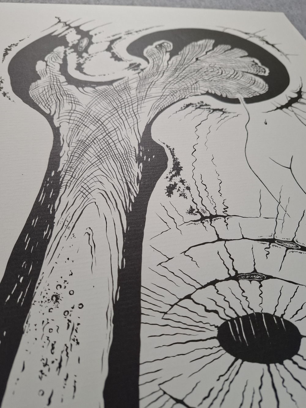 Rare German Kilma 1982 Limited Edition Ecorche' Art Print - Picture 7 of 11